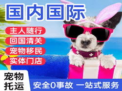 遵义新舟航空邮寄国际宠物托运 【国